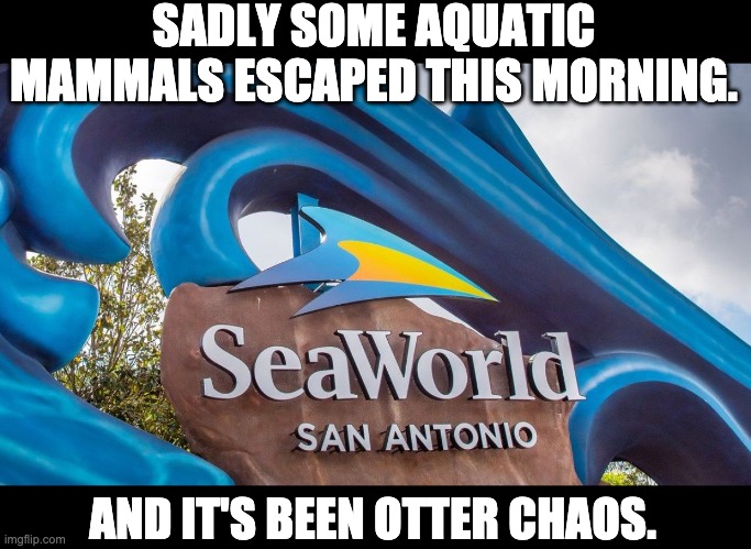 Otter | SADLY SOME AQUATIC MAMMALS ESCAPED THIS MORNING. AND IT'S BEEN OTTER CHAOS. | image tagged in bad pun | made w/ Imgflip meme maker