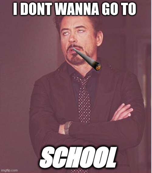 Face You Make Robert Downey Jr Meme | I DONT WANNA GO TO; SCHOOL | image tagged in memes,face you make robert downey jr | made w/ Imgflip meme maker