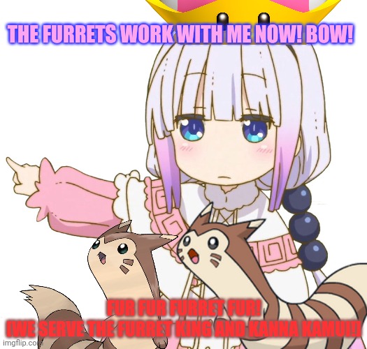 The furrets and Kanna join forces! | THE FURRETS WORK WITH ME NOW! BOW! FUR FUR FURRET FUR!
[WE SERVE THE FURRET KING AND KANNA KAMUI!] | image tagged in kanna kamui,furret,pokemon,anime girl,bow before kanna | made w/ Imgflip meme maker