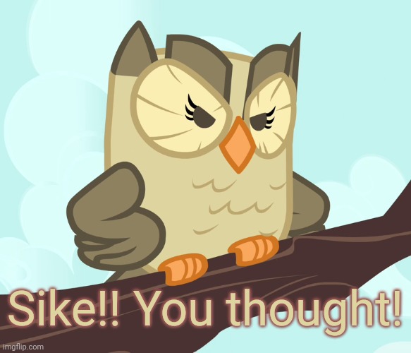 Scowled Owlowiscious (MLP) | Sike!! You thought! | image tagged in scowled owlowiscious mlp | made w/ Imgflip meme maker