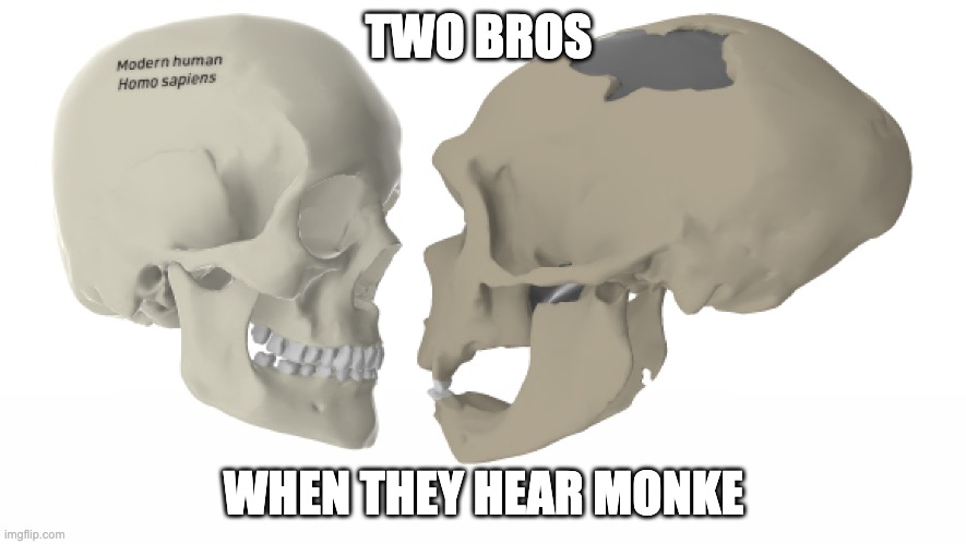 Humanity to monke | TWO BROS; WHEN THEY HEAR MONKE | image tagged in skulls smiling at each other | made w/ Imgflip meme maker