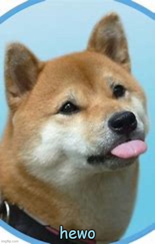 Happi doggo | hewo | image tagged in happi doggo | made w/ Imgflip meme maker