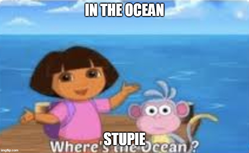 Dora DumDum | IN THE OCEAN; STUPIE | image tagged in dora dumdum | made w/ Imgflip meme maker