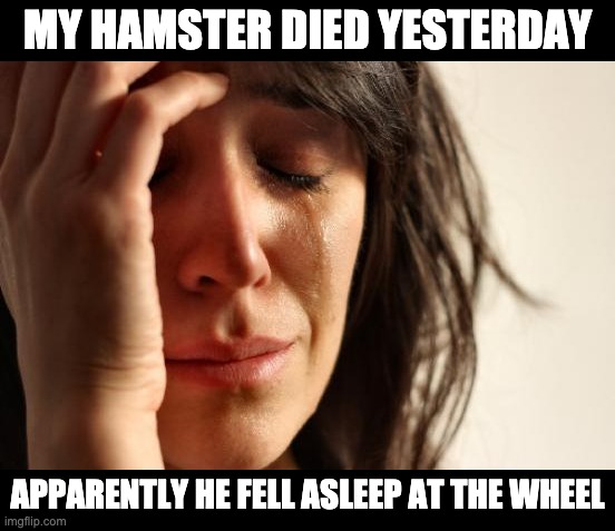 asleep | MY HAMSTER DIED YESTERDAY; APPARENTLY HE FELL ASLEEP AT THE WHEEL | image tagged in memes,first world problems | made w/ Imgflip meme maker