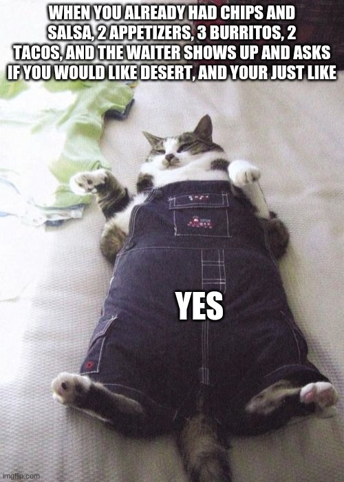 Food a lot of food |  WHEN YOU ALREADY HAD CHIPS AND SALSA, 2 APPETIZERS, 3 BURRITOS, 2 TACOS, AND THE WAITER SHOWS UP AND ASKS IF YOU WOULD LIKE DESERT, AND YOUR JUST LIKE; YES | image tagged in memes,fat cat,happy mexican,funny memes,funny cats | made w/ Imgflip meme maker