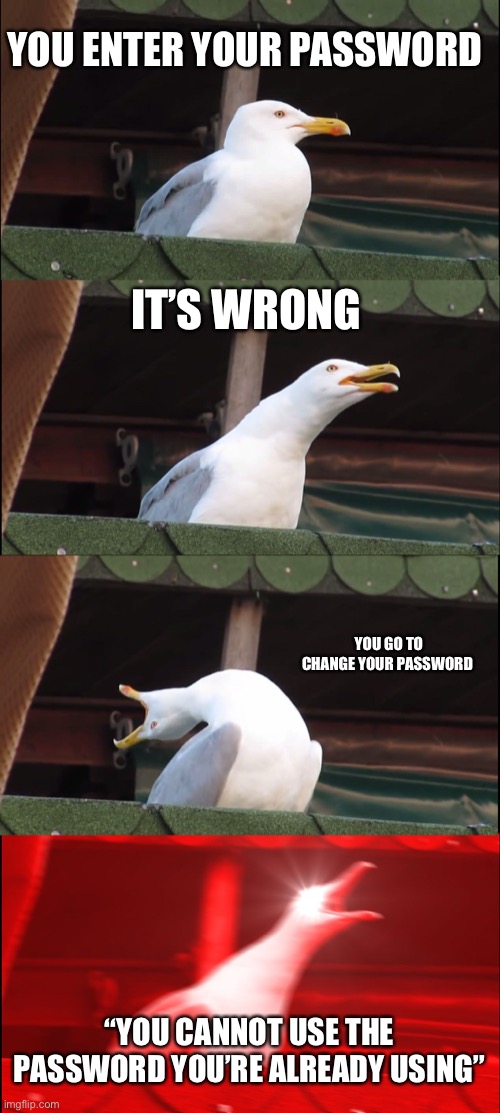 Inhaling Seagull | YOU ENTER YOUR PASSWORD; IT’S WRONG; YOU GO TO CHANGE YOUR PASSWORD; “YOU CANNOT USE THE PASSWORD YOU’RE ALREADY USING” | image tagged in memes,inhaling seagull | made w/ Imgflip meme maker