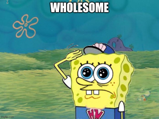 Spongebob salute | WHOLESOME | image tagged in spongebob salute | made w/ Imgflip meme maker