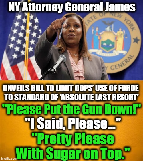 Reminiscent of Rules of Engagement....Clearly Stacking the Deck | NY Attorney General James; UNVEILS BILL TO LIMIT COPS’ USE OF FORCE 
TO STANDARD OF ‘ABSOLUTE LAST RESORT’; "Please Put the Gun Down!"; "I Said, Please..."; "Pretty Please With Sugar on Top." | image tagged in politics,democratic socialism,liberalism | made w/ Imgflip meme maker