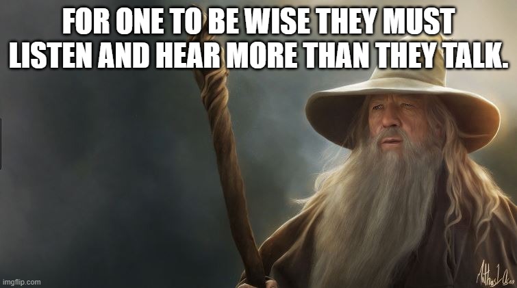 gandolf | FOR ONE TO BE WISE THEY MUST LISTEN AND HEAR MORE THAN THEY TALK. | image tagged in gandolf | made w/ Imgflip meme maker