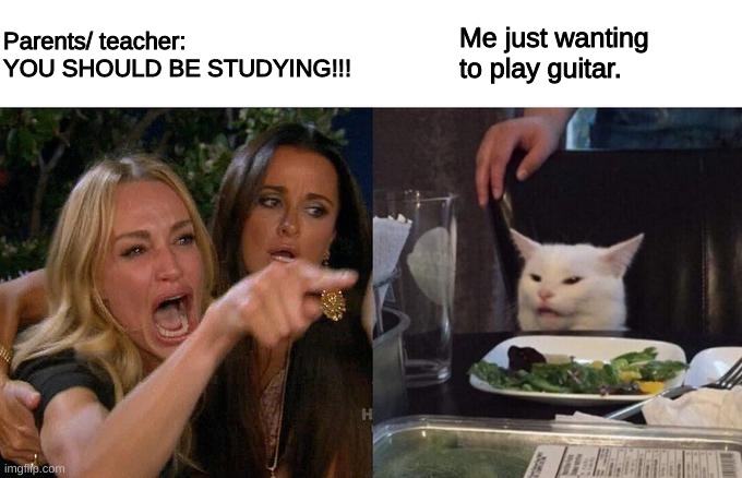 Just leave me be | Parents/ teacher: YOU SHOULD BE STUDYING!!! Me just wanting to play guitar. | image tagged in memes,woman yelling at cat | made w/ Imgflip meme maker