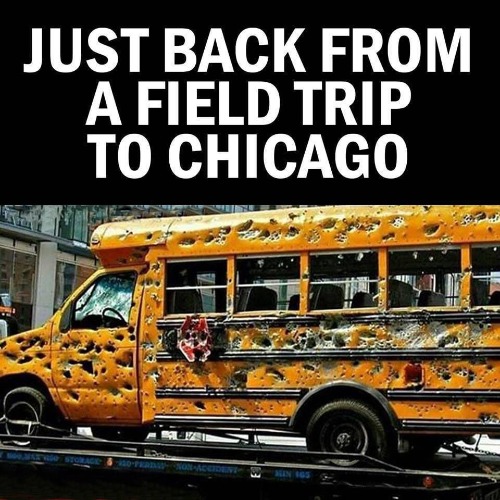 Just Got Back From a Field Trip to Chitcago | image tagged in chicago,ew i stepped in shit,shitpost,shithole,take this shit and get out,well shit | made w/ Imgflip meme maker