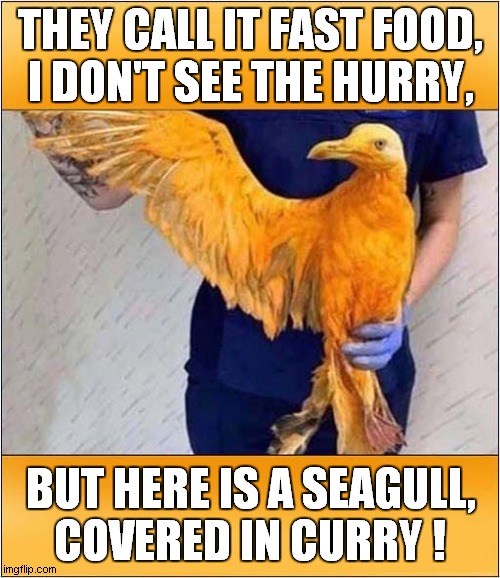 Curried Seagull Anyone ? | THEY CALL IT FAST FOOD,
I DON'T SEE THE HURRY, BUT HERE IS A SEAGULL,
COVERED IN CURRY ! | image tagged in poem,seagull,curry | made w/ Imgflip meme maker
