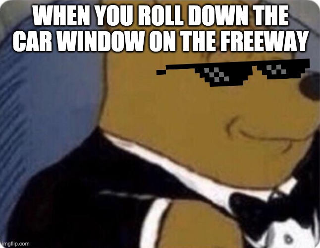 breeze | WHEN YOU ROLL DOWN THE CAR WINDOW ON THE FREEWAY | image tagged in tuxedo winnie the pooh | made w/ Imgflip meme maker