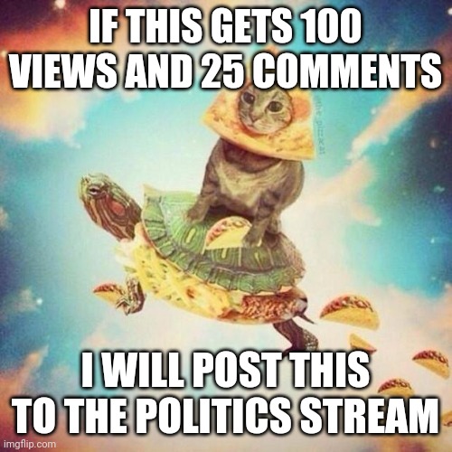 There is a high chance it will be disapproved. | IF THIS GETS 100 VIEWS AND 25 COMMENTS; I WILL POST THIS TO THE POLITICS STREAM | image tagged in space pizza cat turtle tacos | made w/ Imgflip meme maker