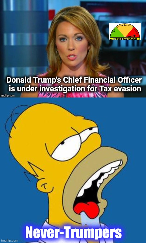 Another mountain out of another mole hill | Donald Trump's Chief Financial Officer
 is under investigation for Tax evasion; Never-Trumpers | image tagged in real news network,homer drooling,thomas had never seen such bullshit before,nevertrump | made w/ Imgflip meme maker