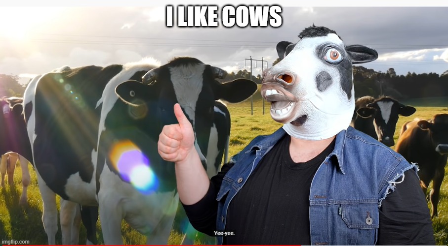 i likecows | I LIKE COWS | image tagged in cowcow tomska | made w/ Imgflip meme maker