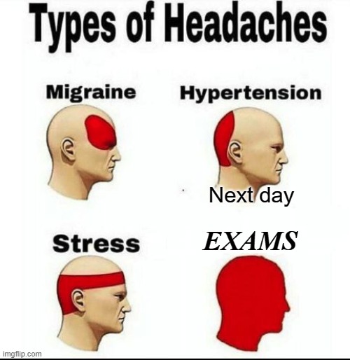 Next Day Exam | Next day; EXAMS | image tagged in types of headaches meme | made w/ Imgflip meme maker