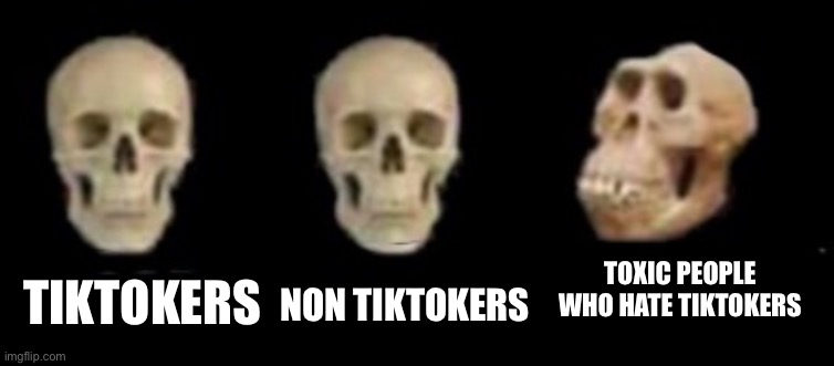 TIKTOKERS NON TIKTOKERS TOXIC PEOPLE WHO HATE TIKTOKERS | made w/ Imgflip meme maker