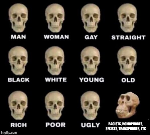 idiot skull | RACISTS, HOMOPHOBES, SEXISTS, TRANSPHOBES, ETC | image tagged in idiot skull | made w/ Imgflip meme maker