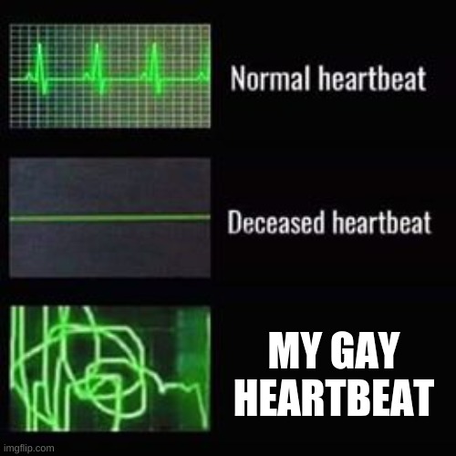 heartbeat rate | MY GAY HEARTBEAT | image tagged in heartbeat rate | made w/ Imgflip meme maker