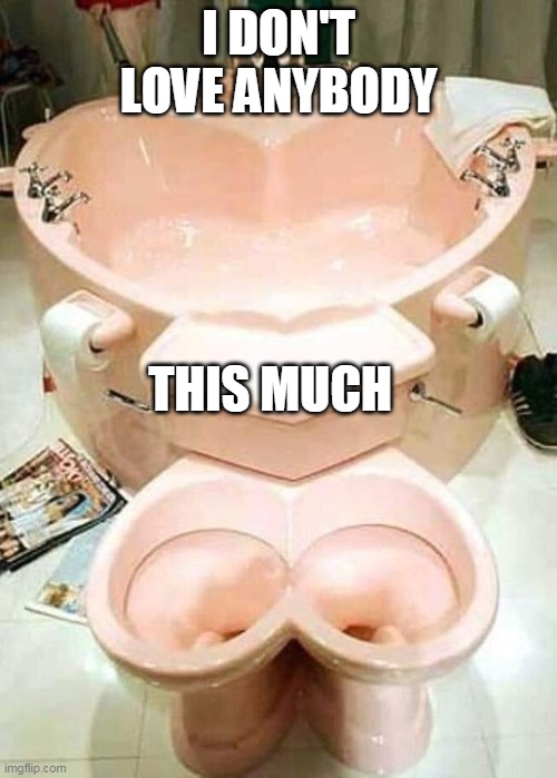 Potty humor | I DON'T LOVE ANYBODY; THIS MUCH | image tagged in toilet,double toilets,i don't love anybody is much | made w/ Imgflip meme maker