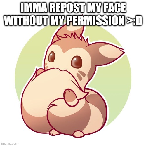 Cute ferret | IMMA REPOST MY FACE WITHOUT MY PERMISSION >:D | image tagged in cute ferret | made w/ Imgflip meme maker