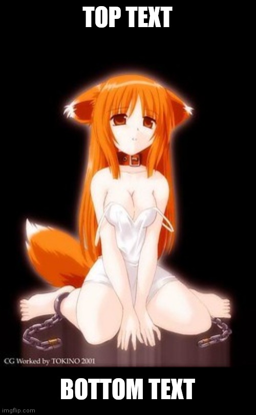 You like this? | TOP TEXT; BOTTOM TEXT | image tagged in fox girl,kitsune | made w/ Imgflip meme maker