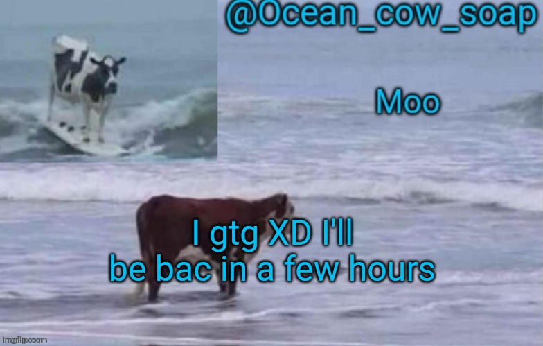 soap's ocean cow temp (ty yachi ^^) | I gtg XD I'll be bac in a few hours | image tagged in soap's ocean cow temp ty yachi | made w/ Imgflip meme maker