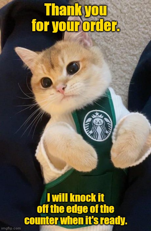 How do you like my new apron? | Thank you for your order. I will knock it off the edge of the counter when it's ready. | image tagged in kitty barista,funny | made w/ Imgflip meme maker
