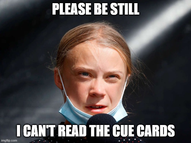 what she say? | PLEASE BE STILL; I CAN'T READ THE CUE CARDS | image tagged in ecofascist greta thunberg,puppet | made w/ Imgflip meme maker