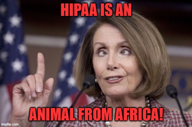 Nancy pelosi | HIPAA IS AN ANIMAL FROM AFRICA! | image tagged in nancy pelosi | made w/ Imgflip meme maker