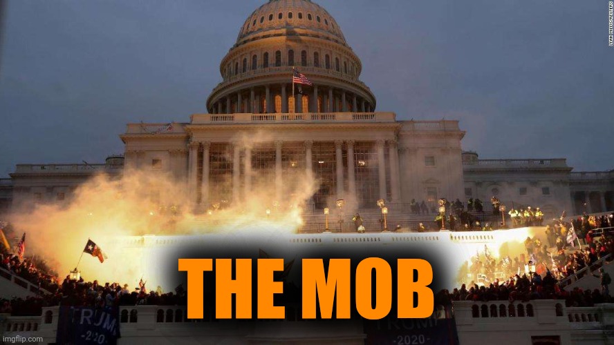 Capitol Uprising | THE MOB | image tagged in capitol uprising | made w/ Imgflip meme maker