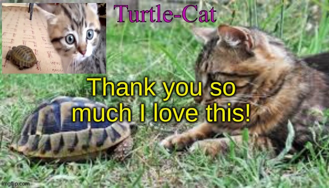 :D | Thank you so much I love this! | image tagged in turtle-cat announcement template made by akifhaziq | made w/ Imgflip meme maker
