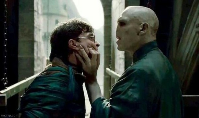 Voldemort and Harry | image tagged in voldemort and harry | made w/ Imgflip meme maker