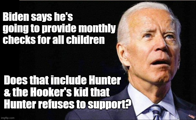Joe Biden | Biden says he's going to provide monthly checks for all children; Does that include Hunter & the Hooker's kid that Hunter refuses to support? | image tagged in joe biden | made w/ Imgflip meme maker