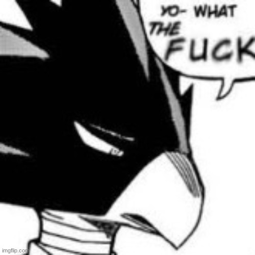 tokoyami what the fuck | image tagged in tokoyami what the fuck | made w/ Imgflip meme maker