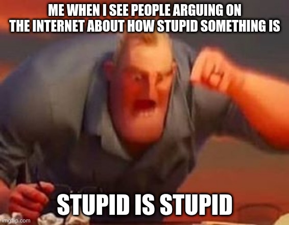 STUPID IS STUPID | ME WHEN I SEE PEOPLE ARGUING ON THE INTERNET ABOUT HOW STUPID SOMETHING IS; STUPID IS STUPID | image tagged in mr incredible mad | made w/ Imgflip meme maker