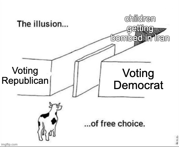 Illusion of free choice | children getting bombed in Iran; Voting Republican; Voting Democrat | image tagged in illusion of free choice | made w/ Imgflip meme maker
