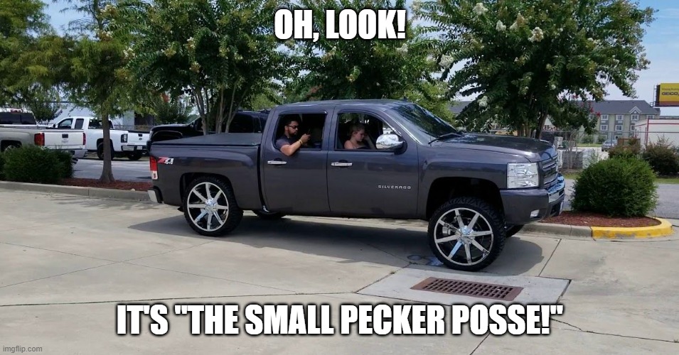 Small Pecker Posse |  OH, LOOK! IT'S "THE SMALL PECKER POSSE!" | image tagged in carolina squat,stupid,truck,small pecker,moron | made w/ Imgflip meme maker
