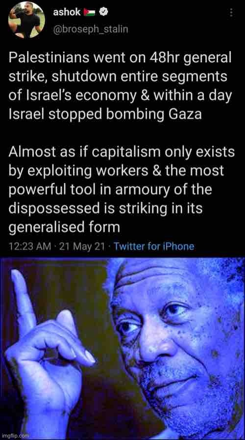 Hmmm I didn’t know that. facts the msm won’t tell you? | image tagged in palestine strike,morgan freeman this blue version,strike,israel,palestine,twitter | made w/ Imgflip meme maker