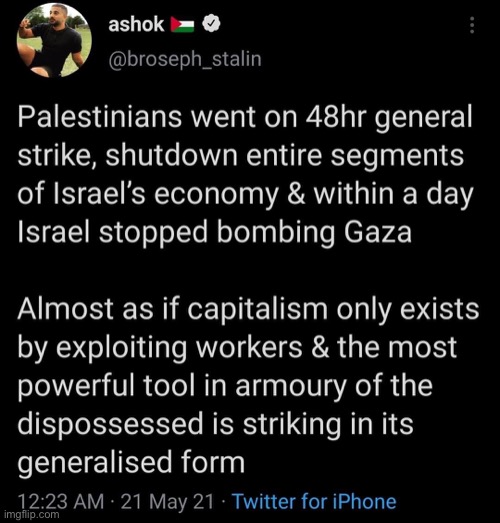 facts the msm wont tell you, maga | image tagged in palestine strike,strike,palestine,israel,twitter,repost | made w/ Imgflip meme maker