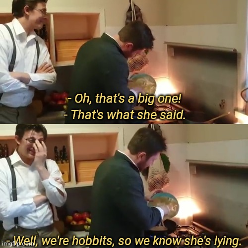 - Oh, that's a big one! - That's what she said. - Well, we're hobbits, so we know she's lying. | image tagged in lord of the rings,that's what she said,hobbits,shadiversity | made w/ Imgflip meme maker