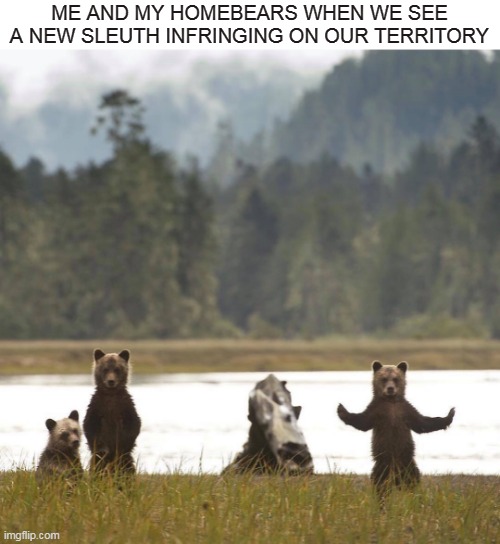 Bear Down | ME AND MY HOMEBEARS WHEN WE SEE A NEW SLEUTH INFRINGING ON OUR TERRITORY | image tagged in memes,bears,bear,gangs,homies,funny | made w/ Imgflip meme maker