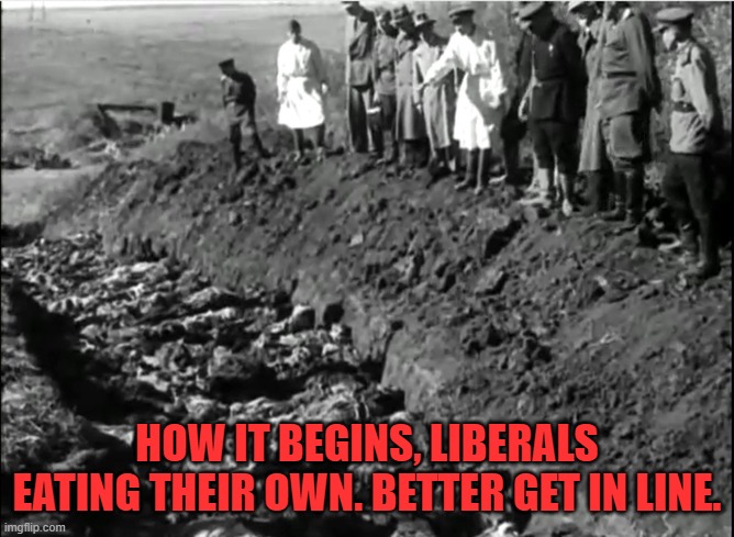 socialist genocide | HOW IT BEGINS, LIBERALS EATING THEIR OWN. BETTER GET IN LINE. | image tagged in socialist genocide | made w/ Imgflip meme maker