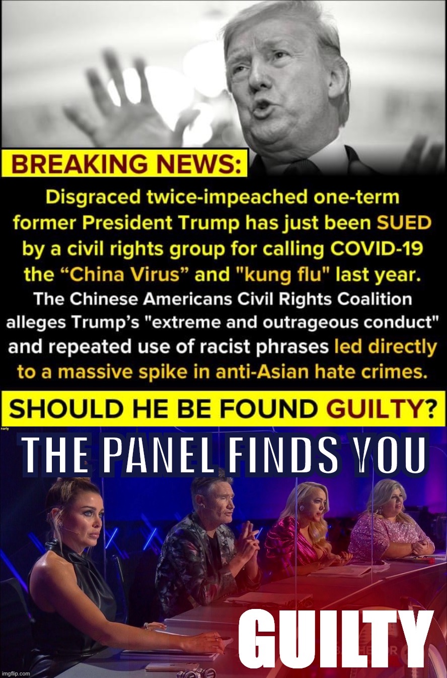 Dannii, this is not the stream for politics | image tagged in donald trump sued by civil rights group,dannii the panel finds you guilty | made w/ Imgflip meme maker
