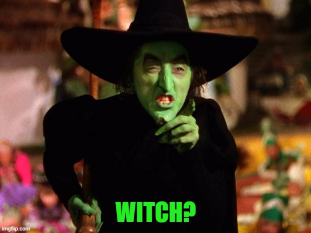 wicked witch  | WITCH? | image tagged in wicked witch | made w/ Imgflip meme maker