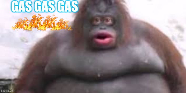 gas gas gas | GAS GAS GAS | image tagged in gas gas gas yes indeed | made w/ Imgflip meme maker