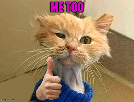 thumb cat | ME TOO | image tagged in thumb cat | made w/ Imgflip meme maker