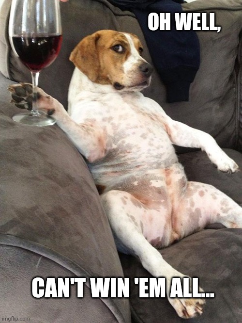 Dog drinking wine | OH WELL, CAN'T WIN 'EM ALL... | image tagged in dog drinking wine | made w/ Imgflip meme maker