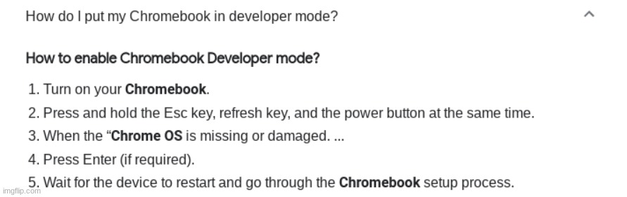 Me: This is a school Chromebook that i am on.School: oh no they found it | image tagged in chromebook,school | made w/ Imgflip meme maker